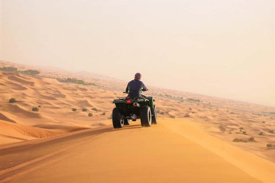Doha: Golden Horizons: Desert Sunrises and Sunsets - A short Mesaieed stop for tea, coffee, and camel activities