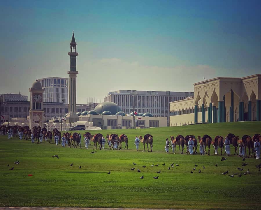 Doha: Guided City Tour to Souq Waqif, katara & pearl-island - Who should book this Doha tour?