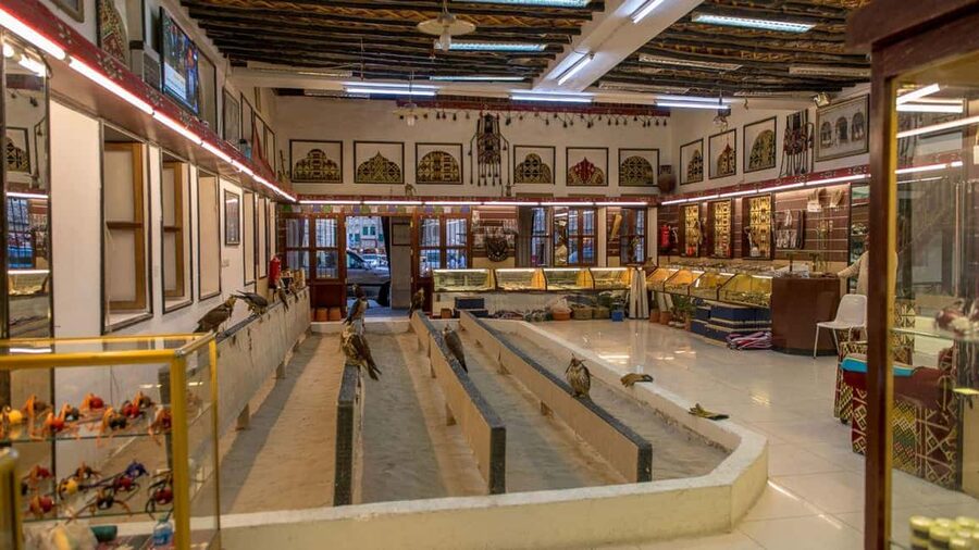 Doha Guided City Tour to Souq Waqif, Katara, & Pearl-Qatar - Who should book this city tour?