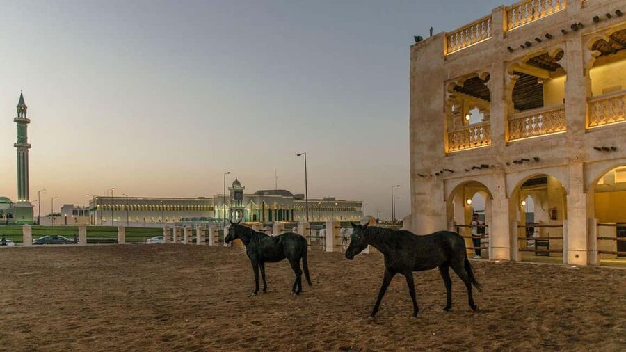 Doha Guided City Tour to Souq Waqif, Katara, & Pearl-Qatar - Should you book this Doha tour?