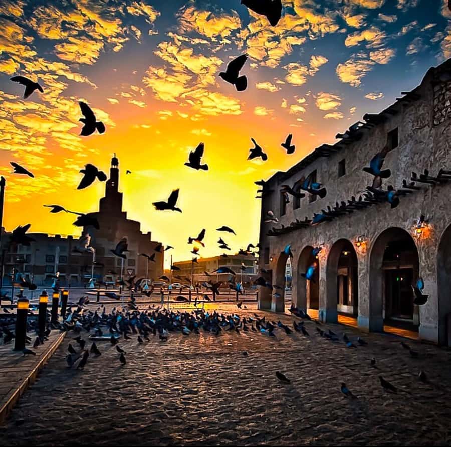 Doha: Guided City Tour with Hotel or Airport Transfer - Key points to know before booking