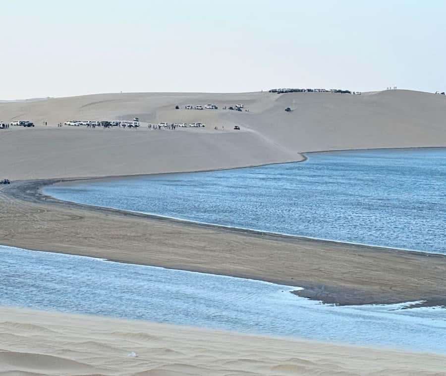 Doha: Guided Desert Safari Tour with Pickup & Drop Service - Pickup from Doha, the airport, or the port