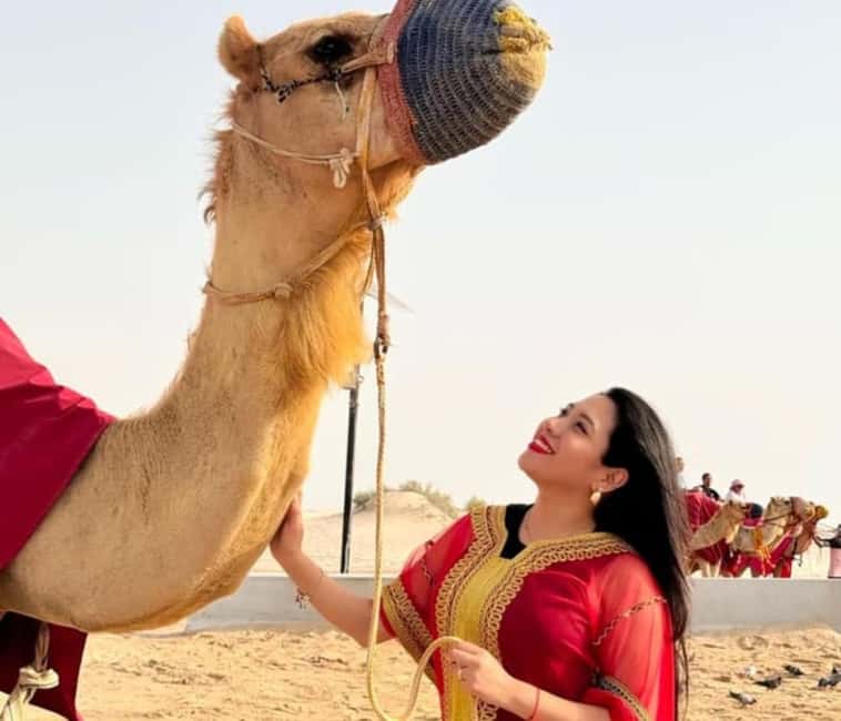 Doha: Half Day Desert Safari, Camel Ride , Sandboarding - High dunes and a hard-working Land Cruiser