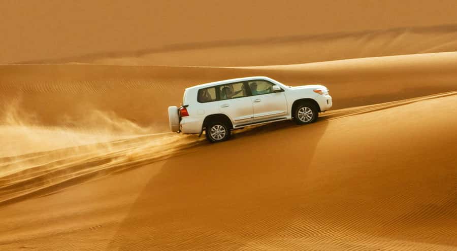 Doha: Half Day Desert Safari, Dune Bashing, Camel Ride - Is $24 a Good Price?