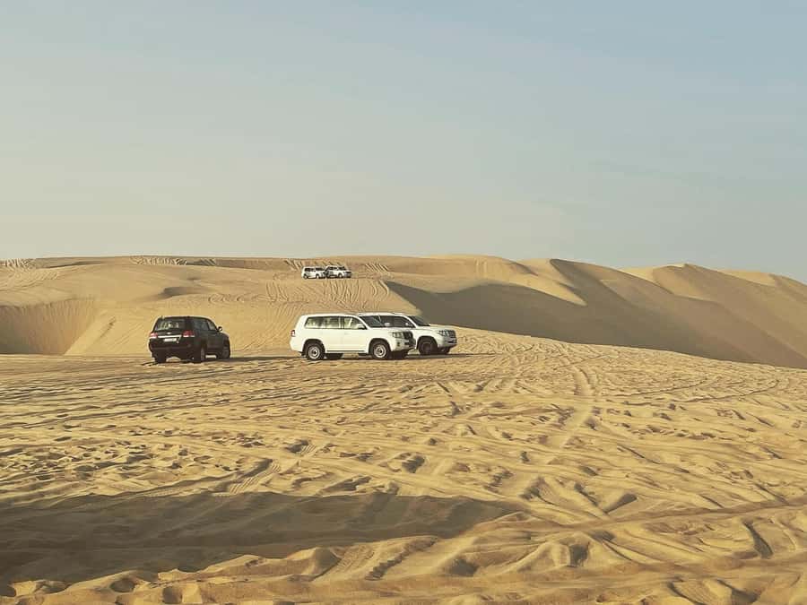 Doha: Half Day Desert Safari From Airport/Hotel/Cruise Port - Key Things to Know Before You Book