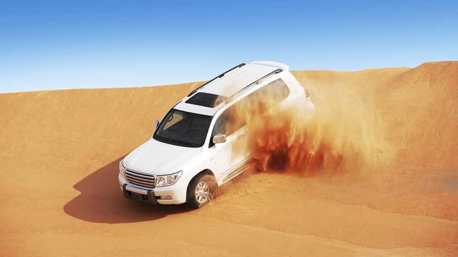 Doha: Half Day Desert Safari From Airport/Hotel/Cruise Port - From Doha to the Open Sand Near Mesaieed
