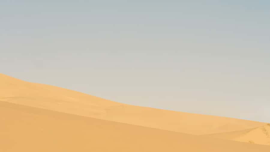 Doha: Half Day Desert Safari From Airport/Hotel/Cruise Port - Forty-Five Minutes of Dune Bashing