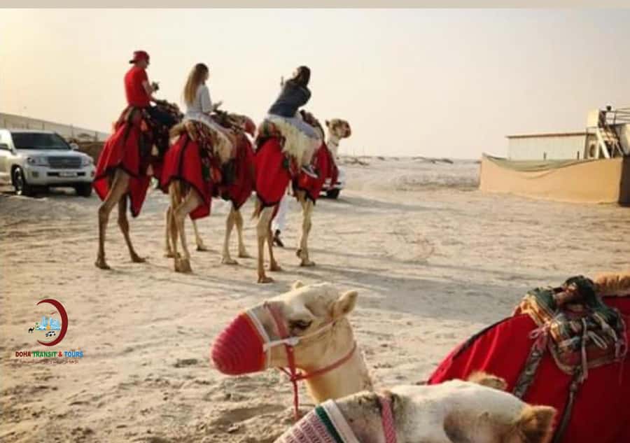 Doha: Half Day Desert Safari From Airport/Hotel/Cruise Port - Sandboarding on Qatar’s Golden Slopes