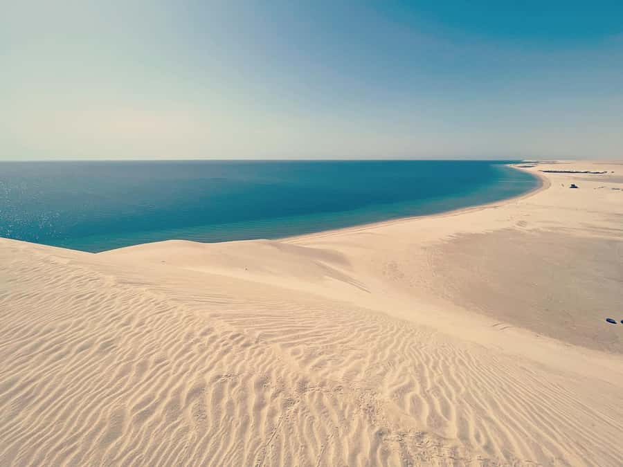 Doha: Half Day Desert Safari From Airport/Hotel/Cruise Port - Who Will Enjoy This Four-Hour Safari Most?
