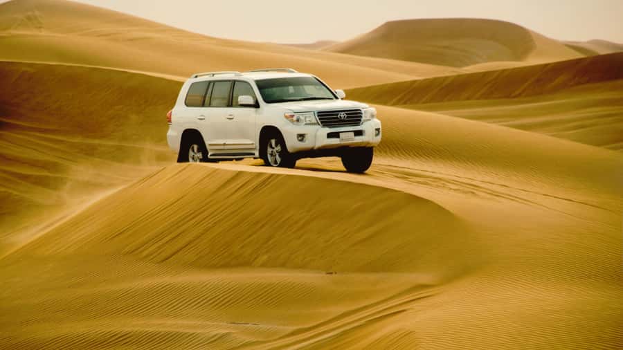 Doha: Half Day Desert Safari From Airport/Hotel/Cruise Port - Mesaieed’s Camel Stop and First Desert Photos