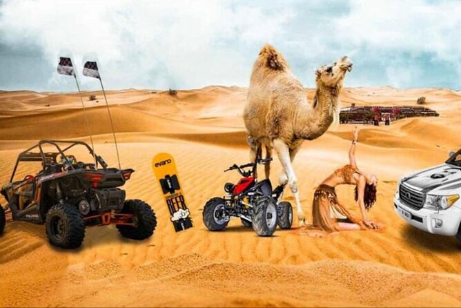 Doha: Half Day Desert Safari with Camel Ride and Inland Sea Tour - Key points at a glance