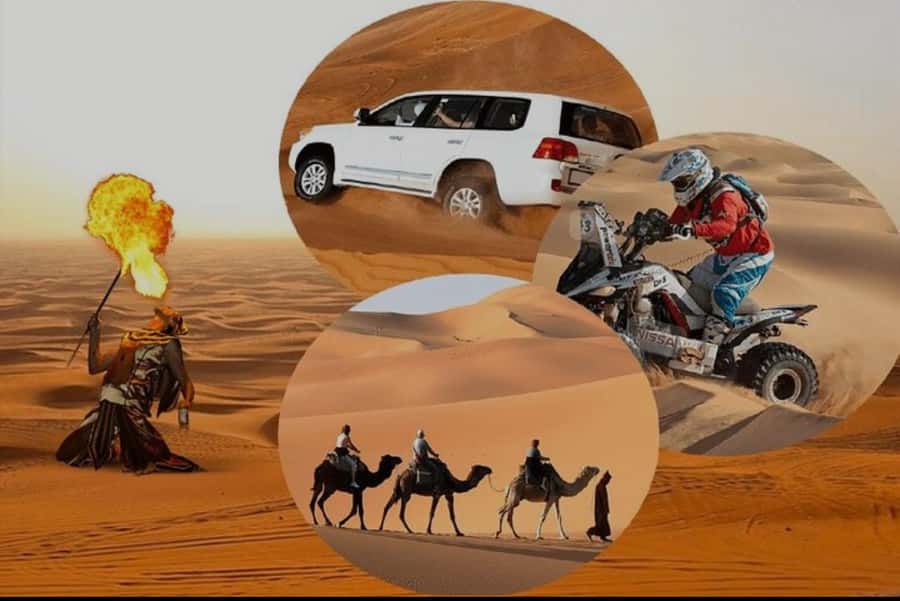 Doha: Half Day Desert Safari With Camel Ride & Sand Boarding - What You Get for $31 in Four Hours