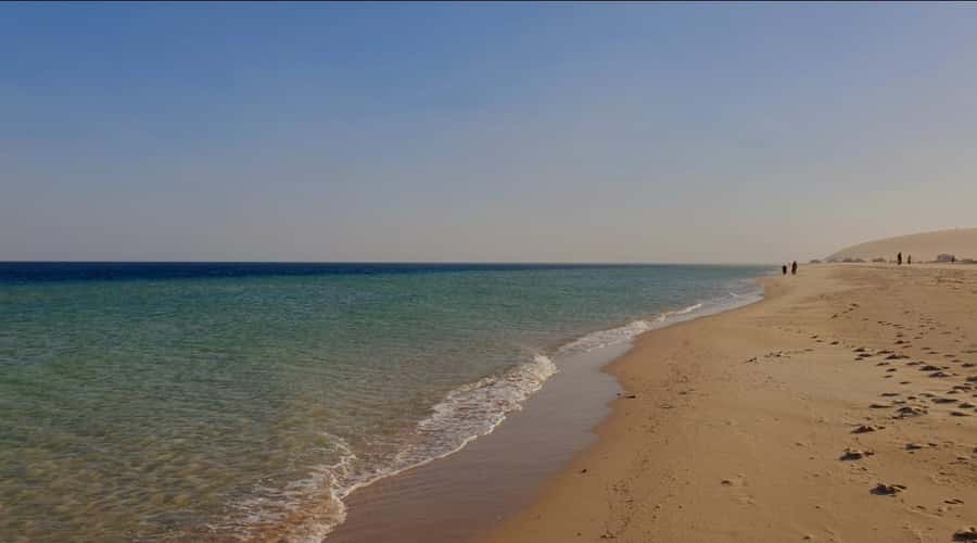 Doha: Half Day Desert Safari With Camel Ride & Sand Boarding - Camel Riding and Bedouin Culture