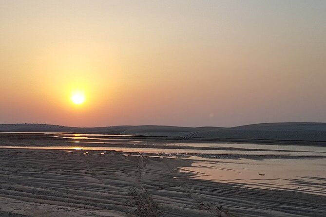 Doha : Half Day Desert Safari With SandBoarding and Camel Ride - Is $60 a fair price?