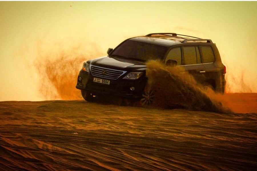 Doha: Half Day Layover Desert Safari, Camel Ride, SandBoard - Why this is a smart Doha layover tour