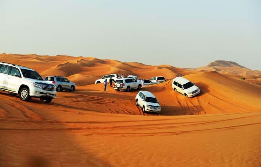 Doha: Half Day Layover Desert Safari, Camel Ride, SandBoard - Camel riding: short, traditional, and photo-friendly
