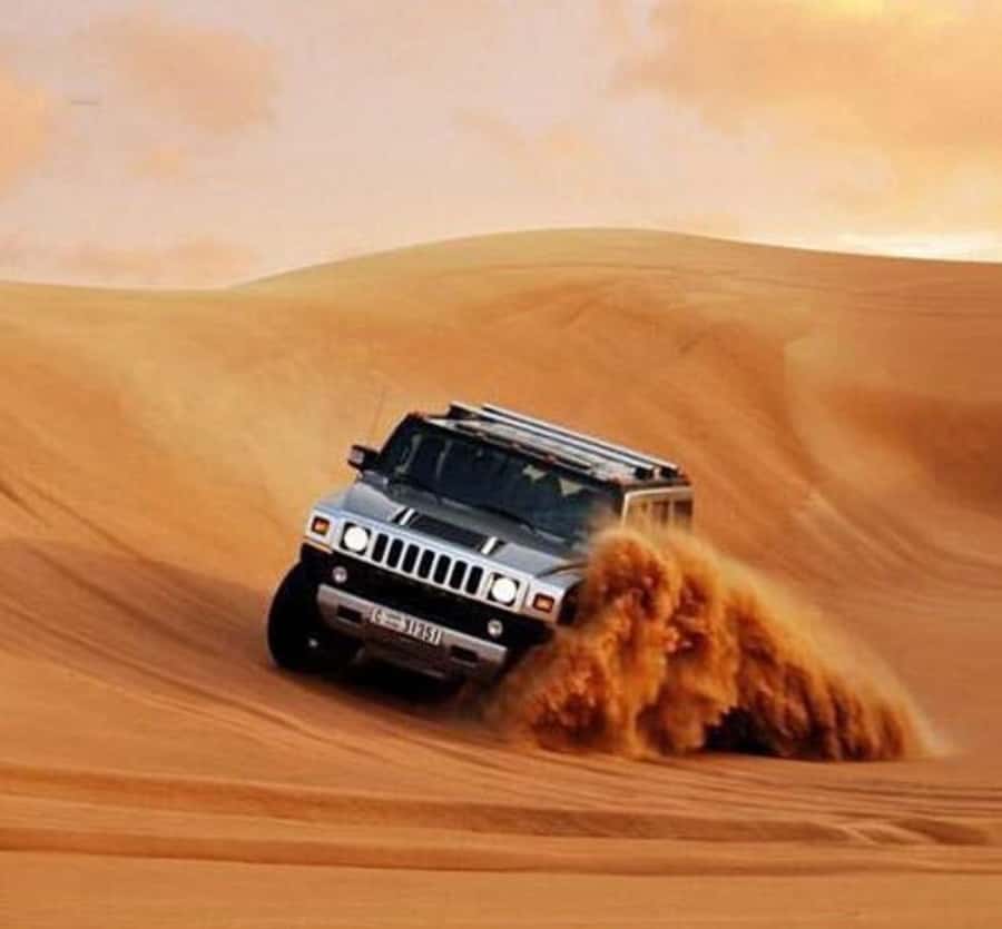 Doha: Half Day Layover Desert Safari, Camel Ride, SandBoard - Dune bashing across the Qatar sand