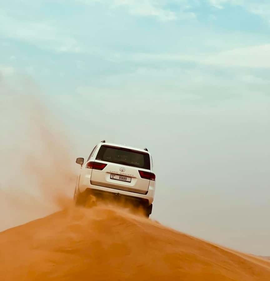 Doha: Half Day Layover Desert Safari, Camel Ride, SandBoard - Sandboarding for an easy extra thrill