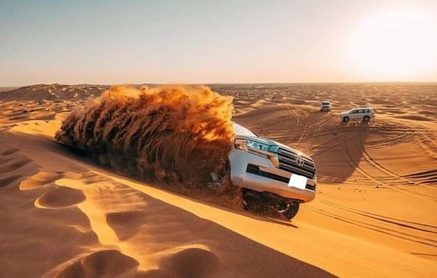 Doha: Half Day Layover Desert Safari, Camel Ride, SandBoard - Guides, driving, and the human side of the trip