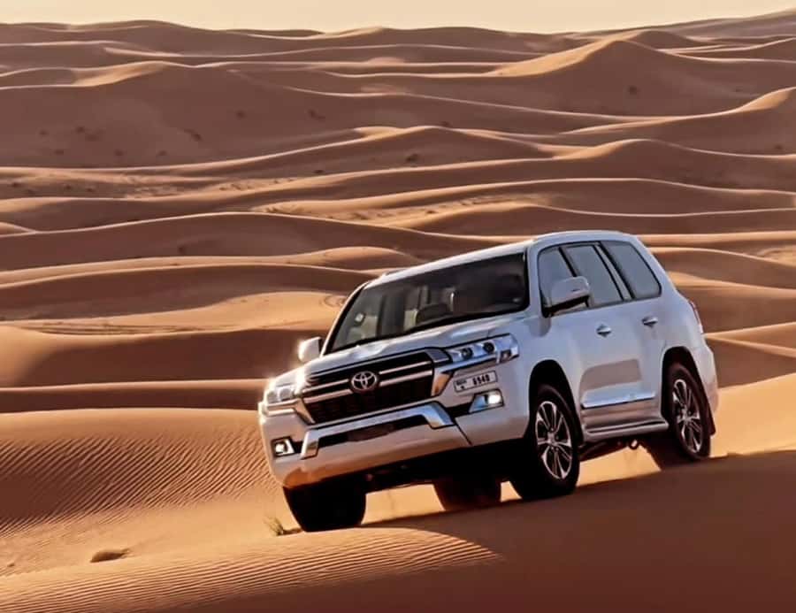 Doha: Half Day Layover Desert Safari, Camel Ride, SandBoard - Is $21 good value?