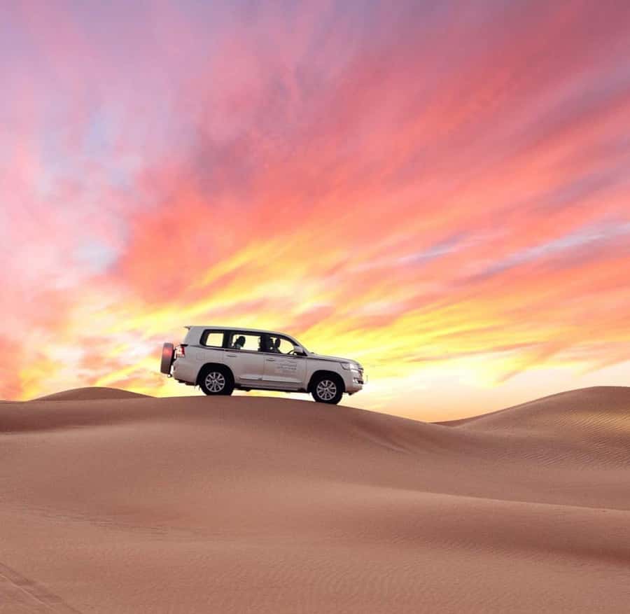 Doha: Half Day Layover Desert Safari, Camel Ride, SandBoard - From Doha pickup to the Mesaieed desert