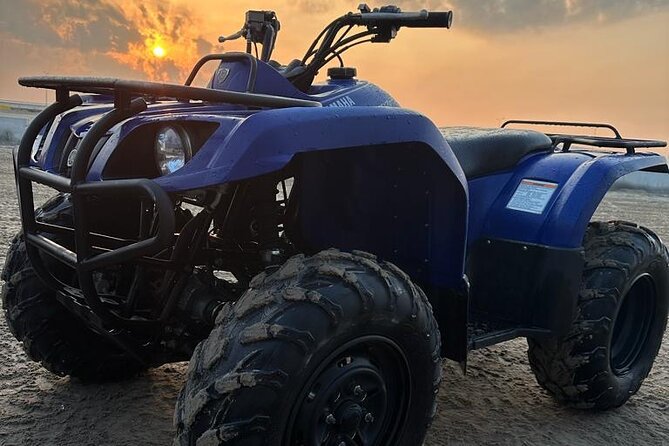 Doha-Half Day Safari with Quad Bike ATV/Camel Ride/sandboard - Sandboarding without a long lesson
