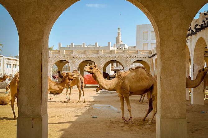 Doha Highlights Private City Tour with Licensed Tour Guide - Who Should Book This Doha Tour?