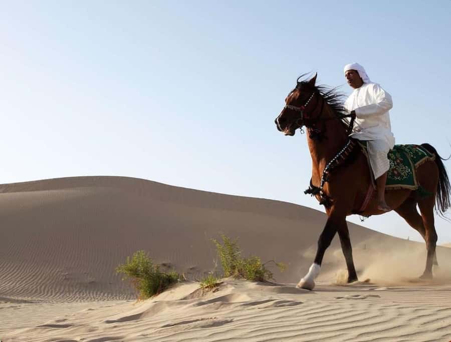 Doha: Horse Riding and Camel Ride Tour - Changing from saddle to camel