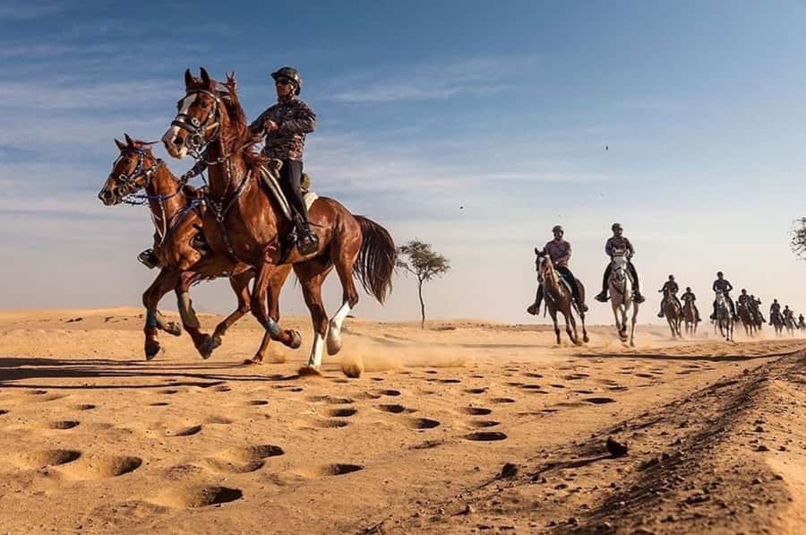 Doha : Horse Riding Tour With Transfer - Key points to know before booking