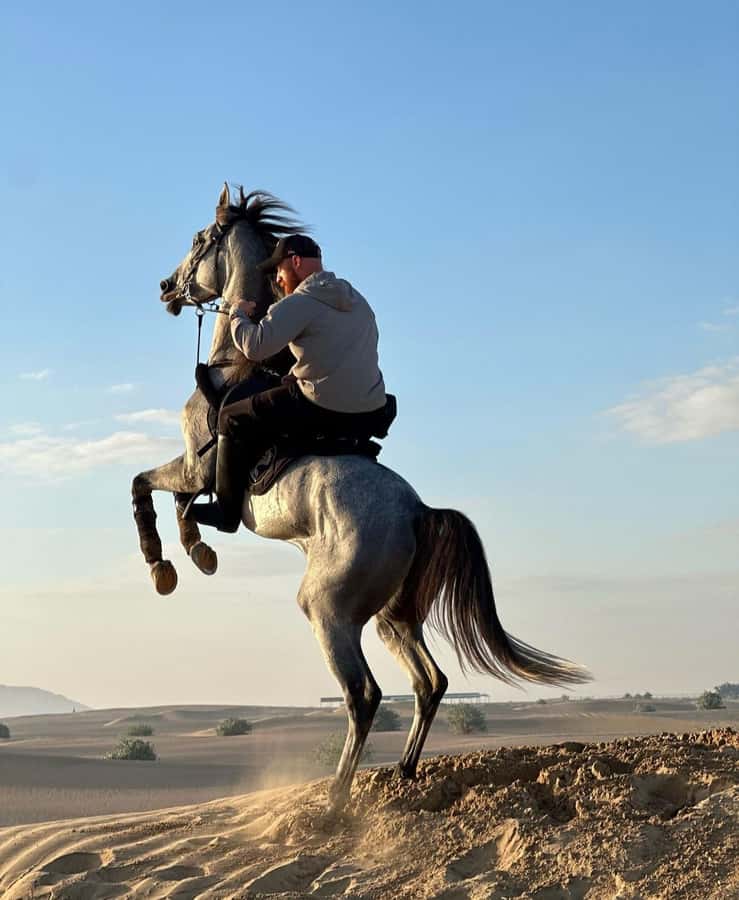 Doha : Horse Riding Tour With Transfer - Riding across Qatar’s rolling dunes