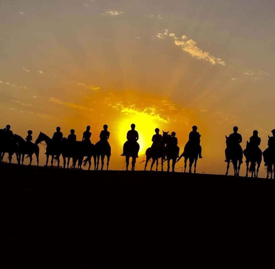 Doha : Horse Riding Tour With Transfer - Wildlife, silence, and the value of going slowly