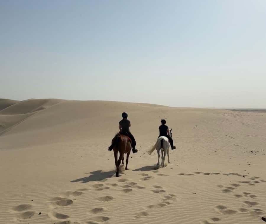 Doha Horseback Riding Adventure in Desert with Transfers - Meeting the horse and learning the basics