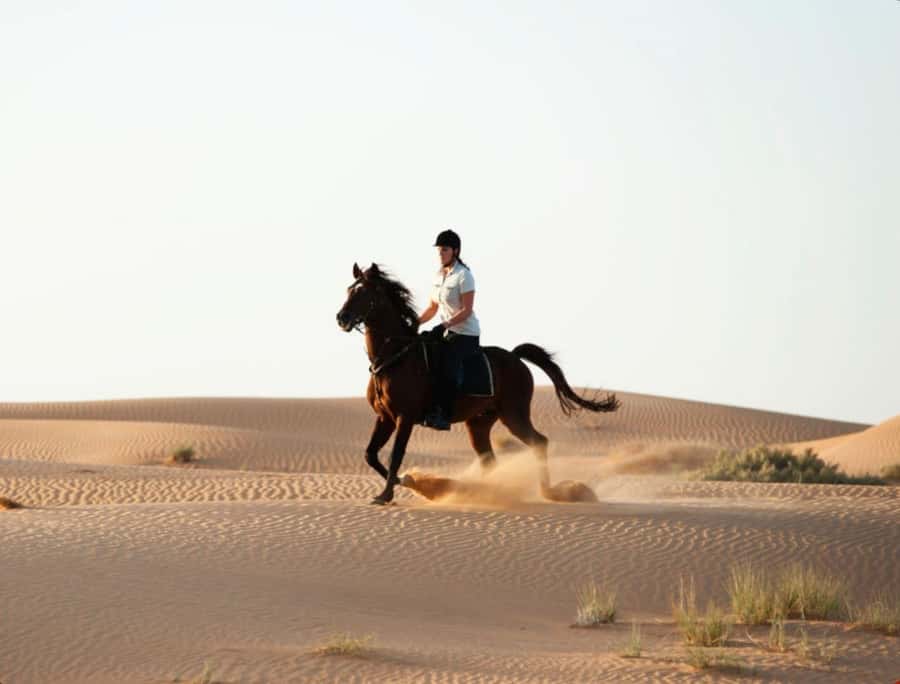 Doha Horseback Riding Adventure in Desert with Transfers - Heat, comfort, and practical preparation