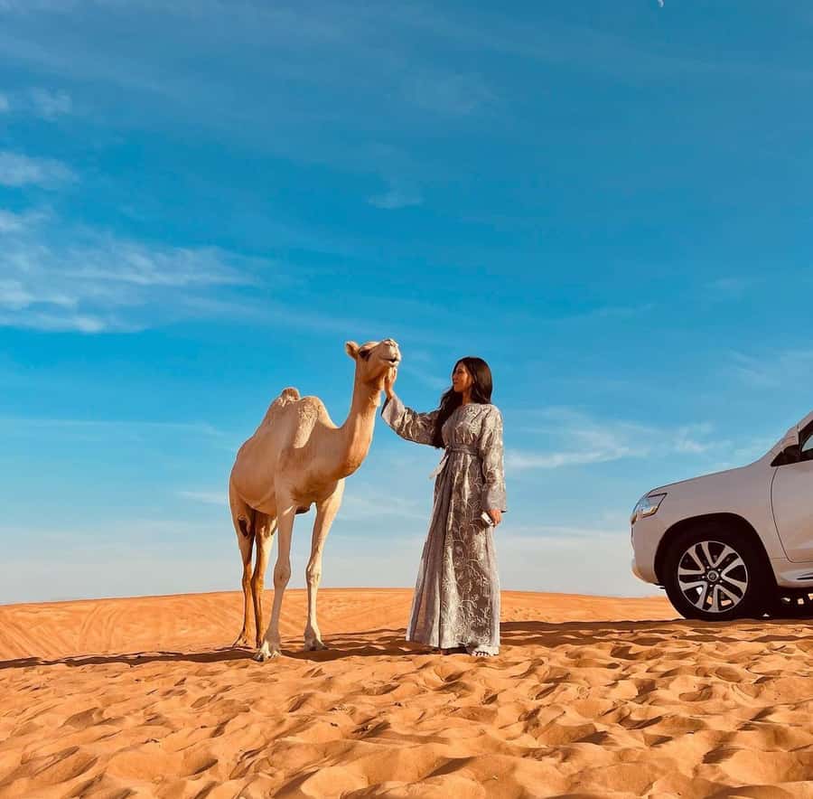 Doha: Inland Sea, Desert Safari, Camel Ride and Sandboarding - Which option suits you best?
