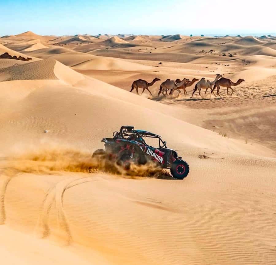 Doha: Inland Sea, Desert Safari, Camel Ride and Sandboarding - Should you book the Inland Sea safari?