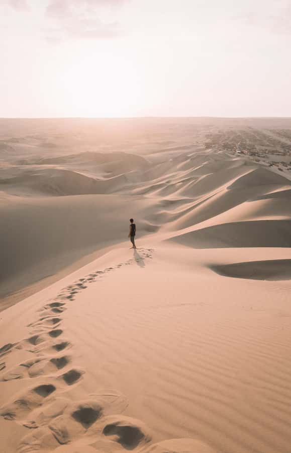 Doha : Inland Sea Desert Safari ,Camel Ride & Sandboarding - Photo stops, golden light, and the value of good timing