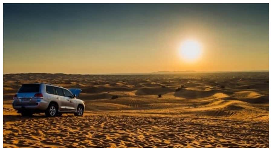 Doha: Inland Sea Tour, Desert Safari/Camel, All Activities - Who will enjoy this desert safari most