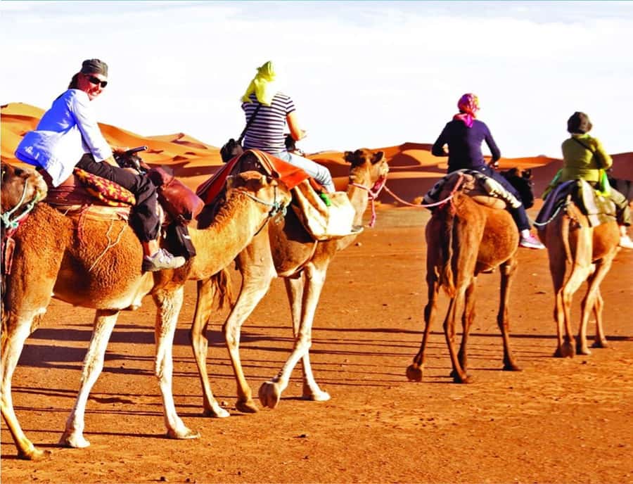 Doha: InlandSea Tour,Camel,Sand Boarding With All Activities - Sunset photography gives the schedule a payoff