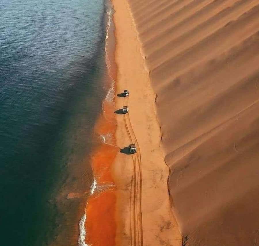 Doha: InlandSea Tour,Camel,Sand Boarding With All Activities - Guides can shape the whole outing
