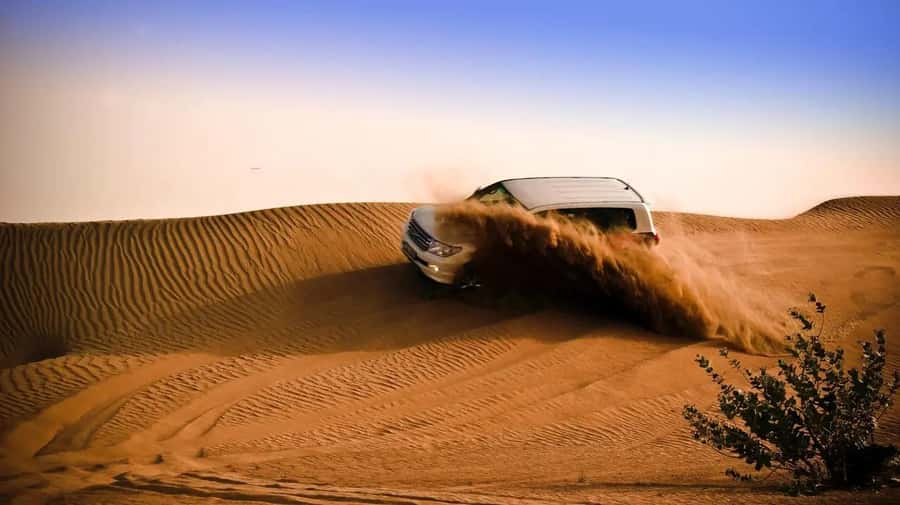 Doha Layover Desert Tour, Camel Ride and Inland sea - Sandboarding and photo time on the dunes