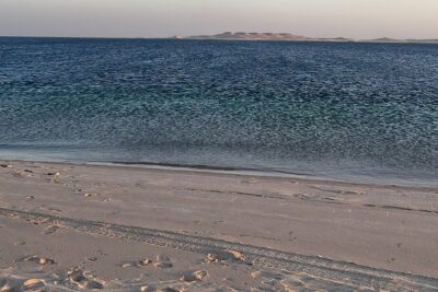 Doha Layover or Doha Stopover Tour with Desert & City Tour