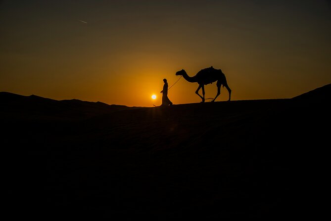 Doha Night Desert Safari Adventure - Timing, private groups, and practical value