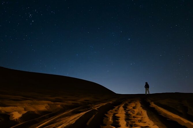 Doha Night Desert Safari Camel Ride Dune Bashing with Transfer - Who will enjoy this four-hour outing?