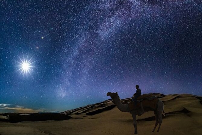 Doha Night Desert Safari Camel Ride Dune Bashing with Transfer - Night dune bashing in a 4x4