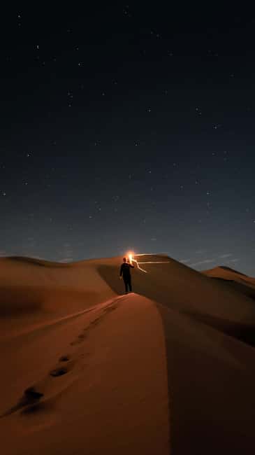 Doha Night Desert Safari Stargazing And Camel Ride - The camel camp adds a slower rhythm