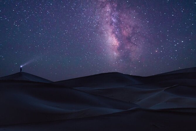 Doha Night Desert Safari Stargazing Dune Drive Camel Ride - Dune Bashing Near Qatar’s Southern Coast