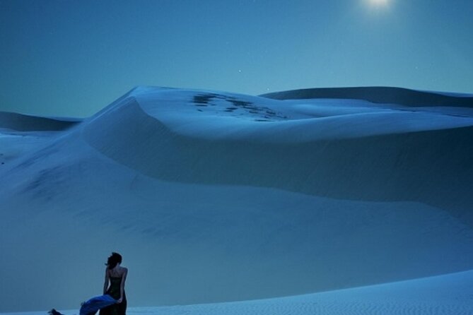 Doha Night Desert Safari Stargazing Dune Drive Camel Ride - Who Will Enjoy This Desert Trip Most?