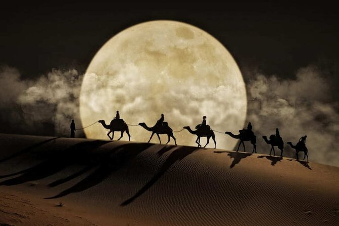 Doha Night Desert Safari Stargazing Dune Drive Camel Ride - Leaving Doha for Sealine Beach