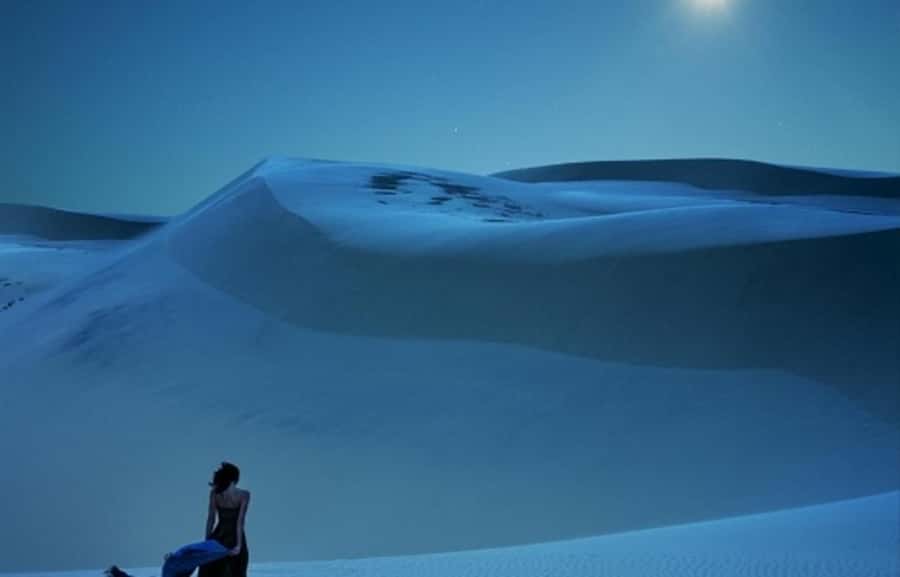 Doha: Night Desert Safari, Stargazing, Dune Driving &Inland - Sandboarding and the second dune run