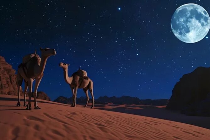 Doha Night Desert Safari, Stargazing, Photography، Relaxation - Sandboarding Without Extra Equipment